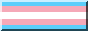 88x31 trans flag button